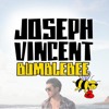 Bumble Bee - Joseph Vincent album artwork