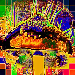 @playlist artwork