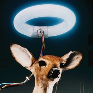 @playlist artwork