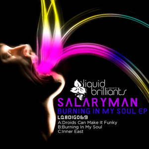 Burning In My Soul - Liquid Brilliants