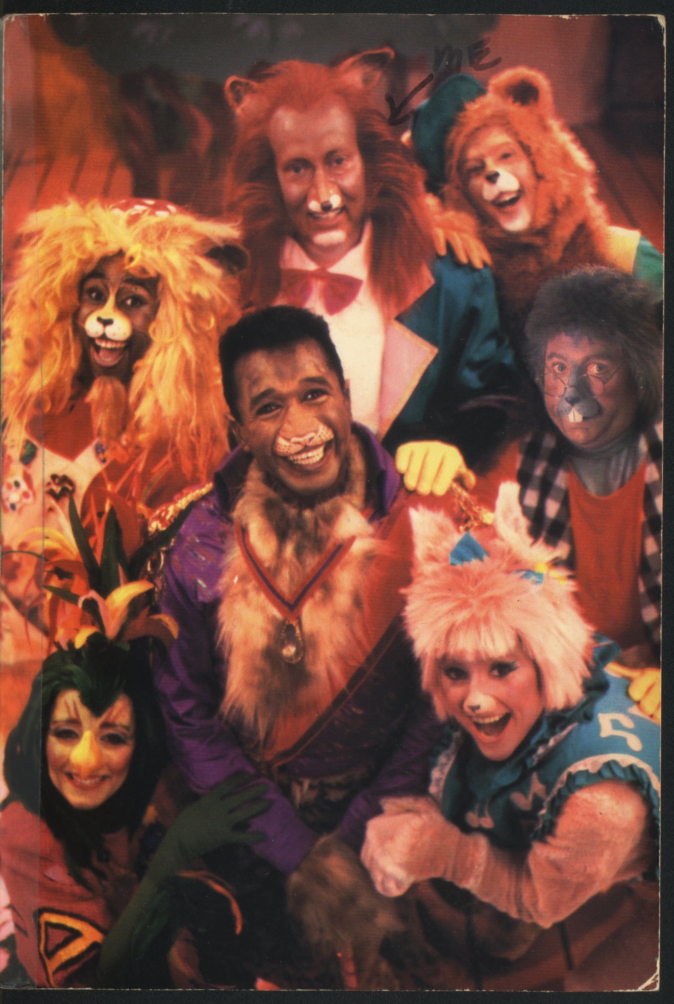 Zoobilee Zoo Animal costumes, Zoo costume, Cats 2019