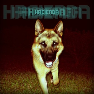 @playlist artwork