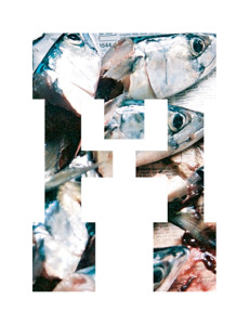 @playlist artwork