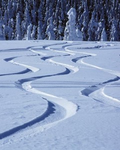 Track artwork