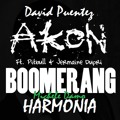 David Puentez Ft. Akon, Pitbull & Jermaine Dupri - Boomerang Harmonia (michele Damo Bootleg Mix)