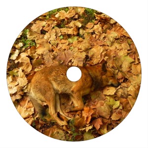 Track artwork