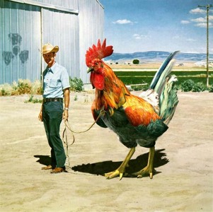 Track artwork