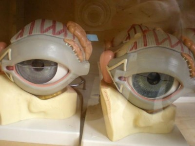 EYEBALLS