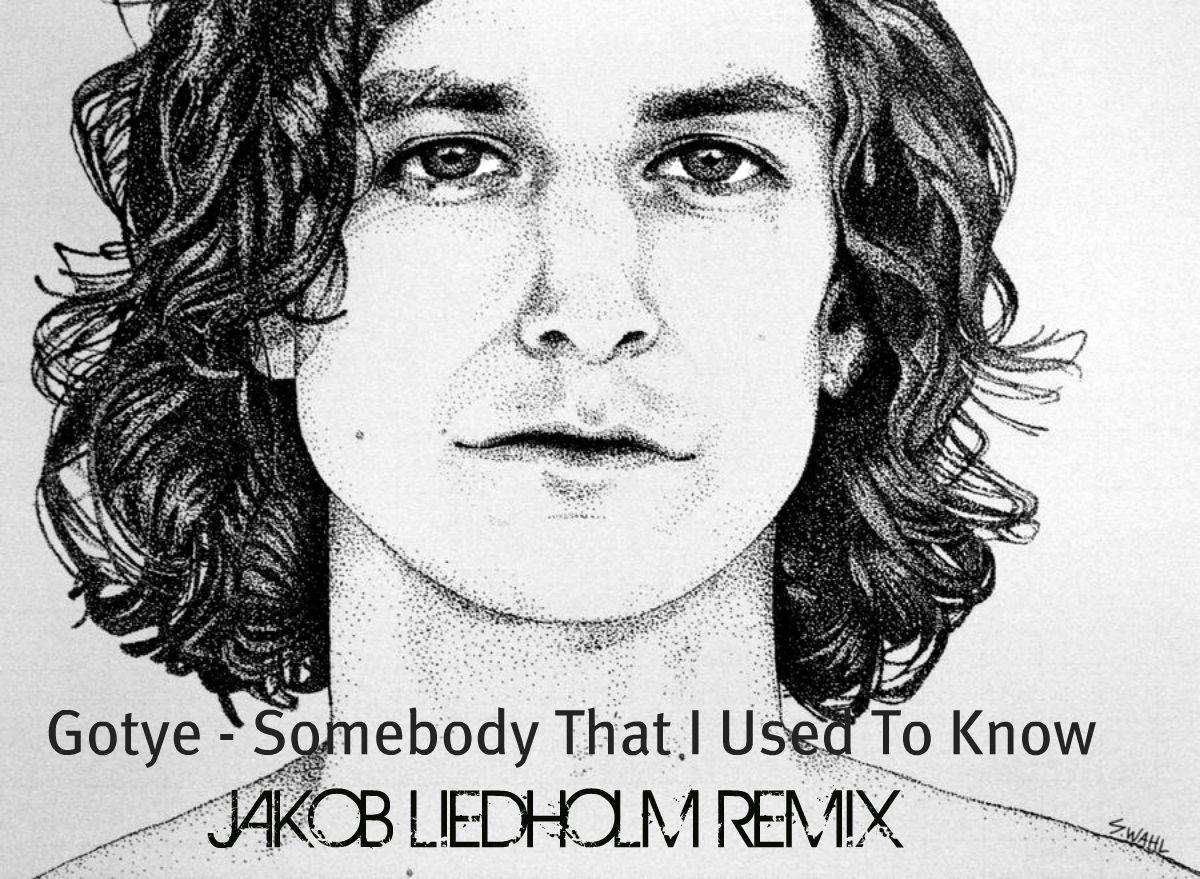  Gotye   Somebody I Used To Know (Jakob Liedholm Remix)