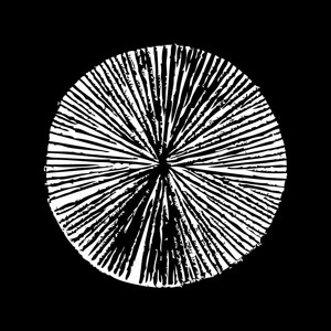 @playlist artwork