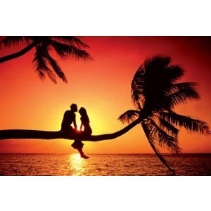 Summer In Love - DJR.O.C 012