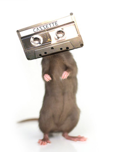 Track artwork
