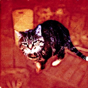 Track artwork