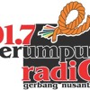 INSERT JOKE - SALAH SAMBUNG 917 FM album artwork