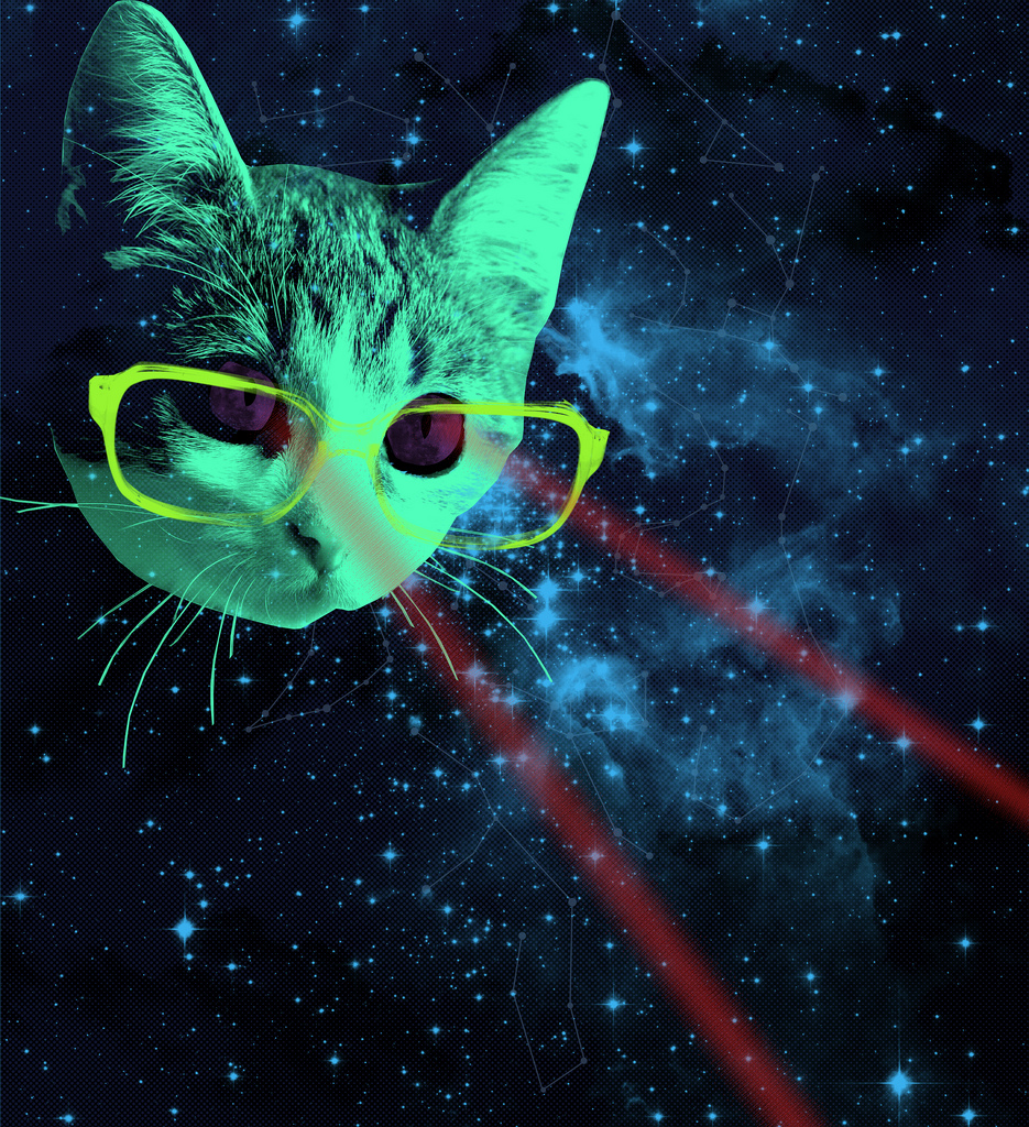 Laser Cats or cats in costumes on Pinterest Cats In Costumes, Space