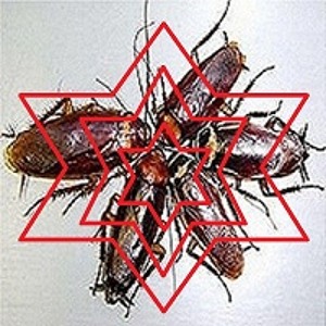 @playlist artwork
