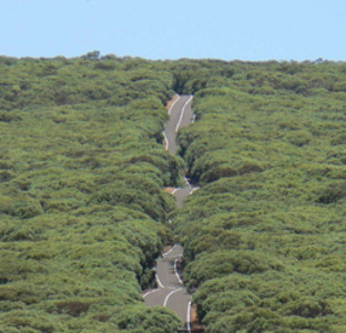 Track artwork