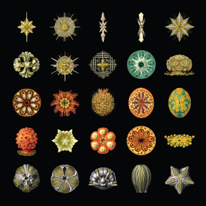 Track artwork