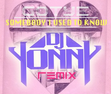 Somebody That I Used To Know Remix Mp3 Download Zippy