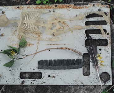 Track artwork