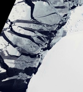 Track artwork
