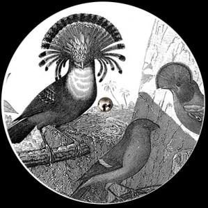 Track artwork