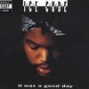 ice cube-It Was A Good Day