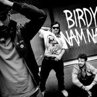 Listen to a new remix song Goin' In ( Skrillex Remix) (David Heartbreak Loc'd The Fuck Out Bootleg) - Birdy Nam Nam
