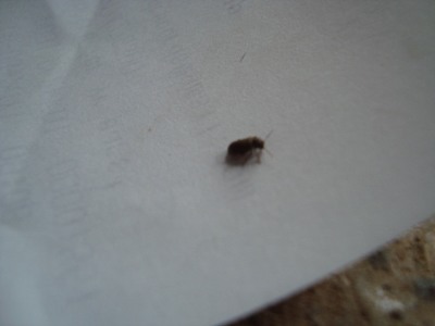 artworks-000028868896-ve0c0p-crop.jpg?4b4189b