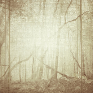 artworks-000029226238-5p11tn-crop.jpg?e2f8ae2