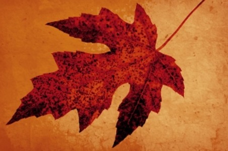 @playlist artwork