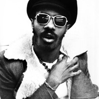 Listen to a new remix song Superstition (Noisy Freaks Remix) - Stevie Wonder