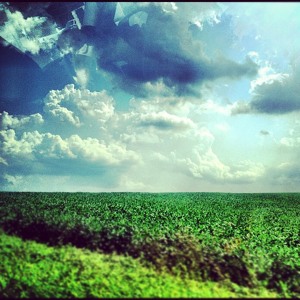 Track artwork