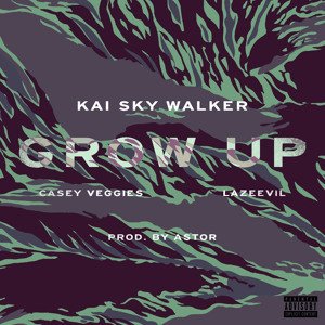 Track artwork