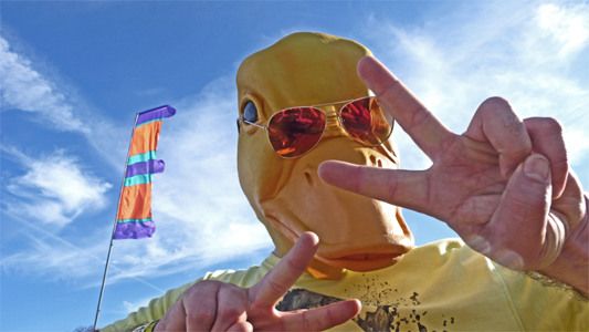 Track artwork