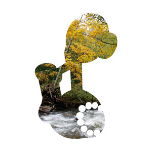Track artwork