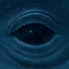 Frank Ocean - Blue Whale album artwork