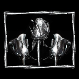 @playlist artwork