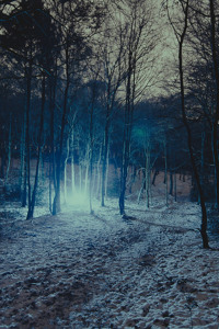 Track artwork
