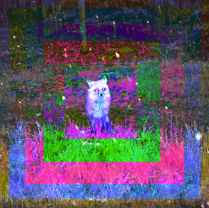 Track artwork