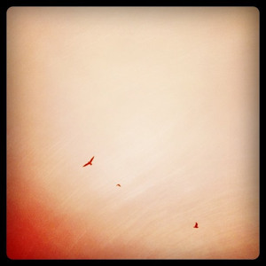 Track artwork