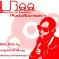 Dj Bee -  This Music(sample)