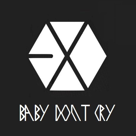 yara armayanisa: Lirik Lagu EXO "Baby Don't Cry" (Korean Ver.)