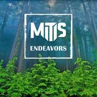 Listen to a new electro song Endeavors - MitiS