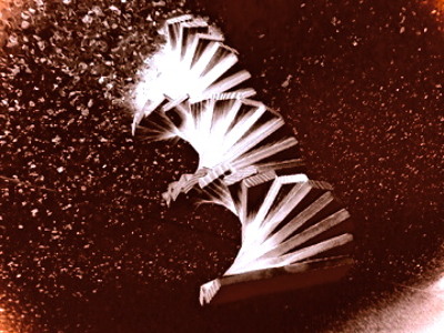 Track artwork