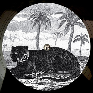 Track artwork