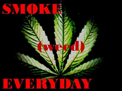 We smoke weed everyday mp3 download