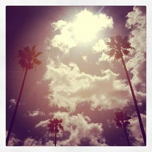 Track artwork