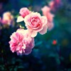 First Love - Utada Hikaru