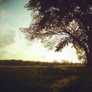 @playlist artwork